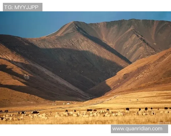 探索阿拉巴的魅力与文化遗产，感受这片土地的独特风情与历史底蕴